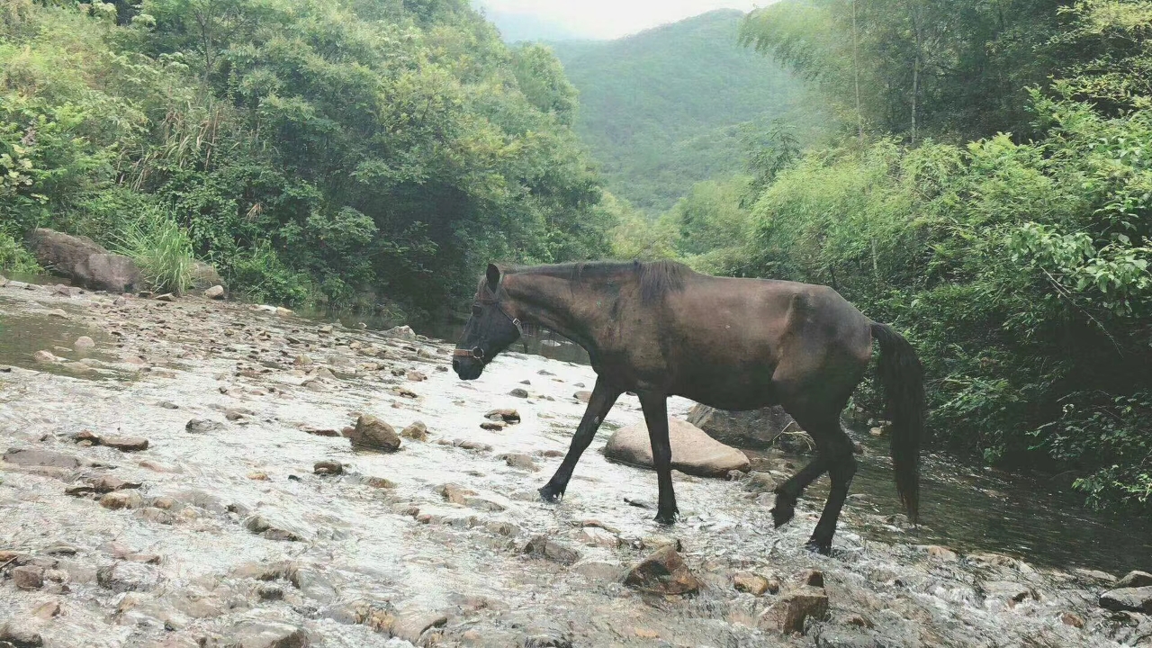 上海周邊風(fēng)景好/好玩的農(nóng)家樂/地方包接送推薦