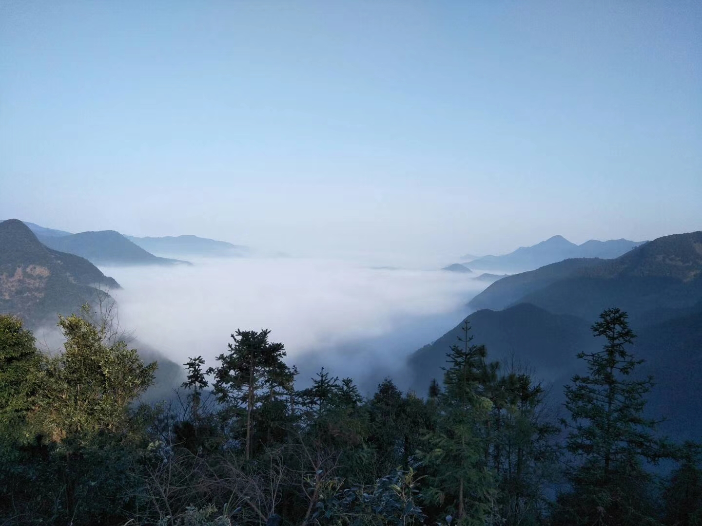 蘆茨灣的高山