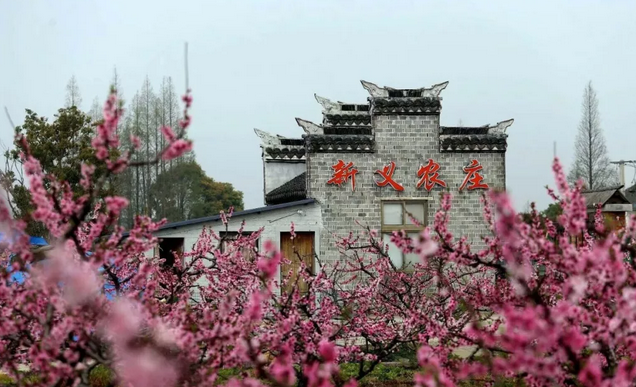 推薦幾家上海周邊不錯的農(nóng)家樂（含金山魚嘴村農(nóng)家樂民宿）