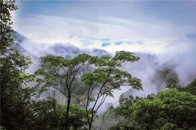 上海周邊農(nóng)家樂二日游包吃包住推薦