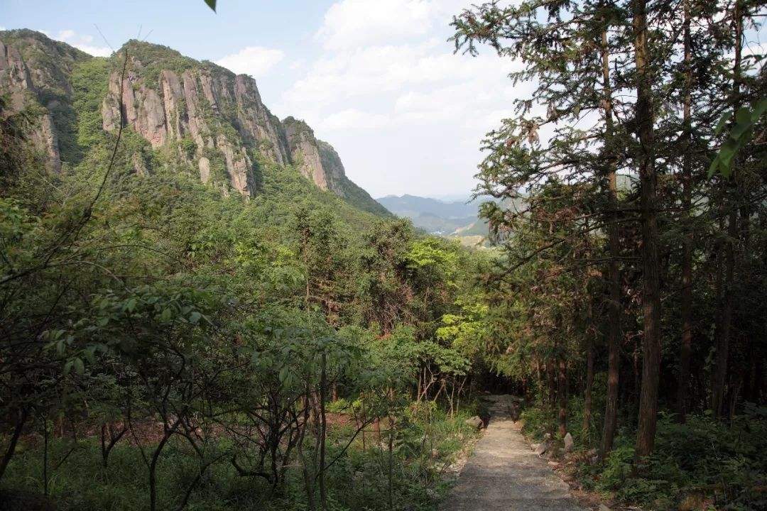 大奇山國家森林公園/桐廬旅游必玩的景點推薦